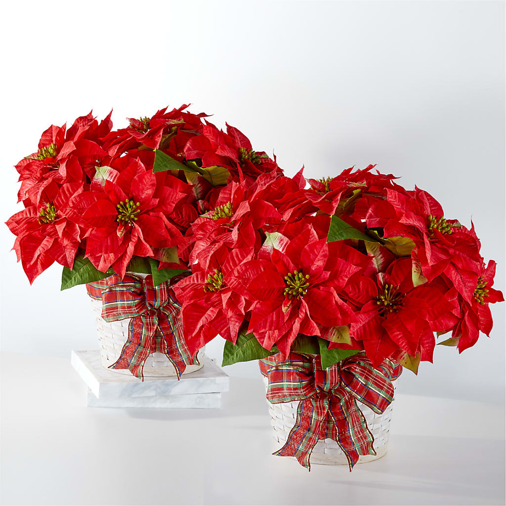 Happiest Holidays Poinsettia Bundle – Hummelstown Flowers, Hummelstown PA