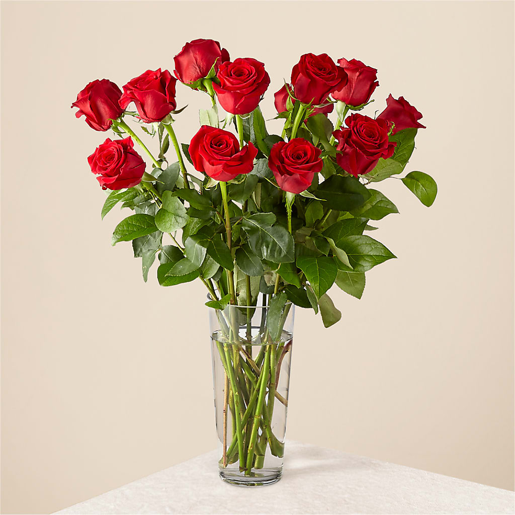 Long Stem Red Rose Bouquet – Hummelstown Flowers, Hummelstown PA