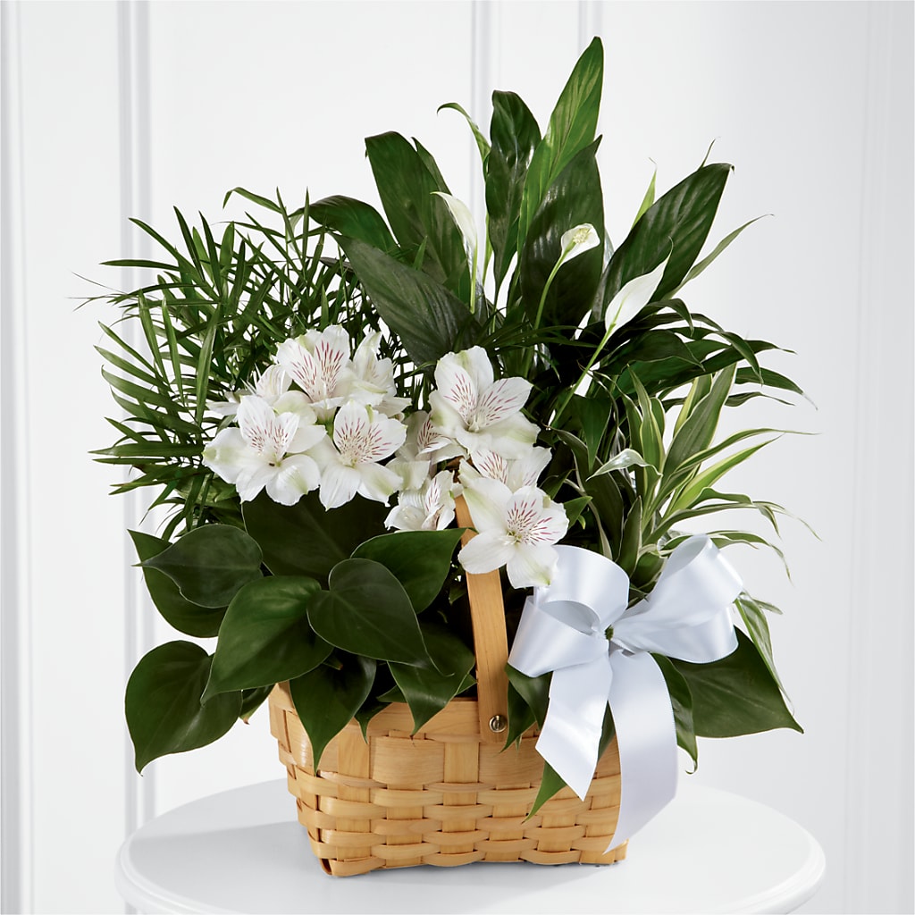 Peace & Serenity Dishgarden – Hummelstown Flowers, Hummelstown PA