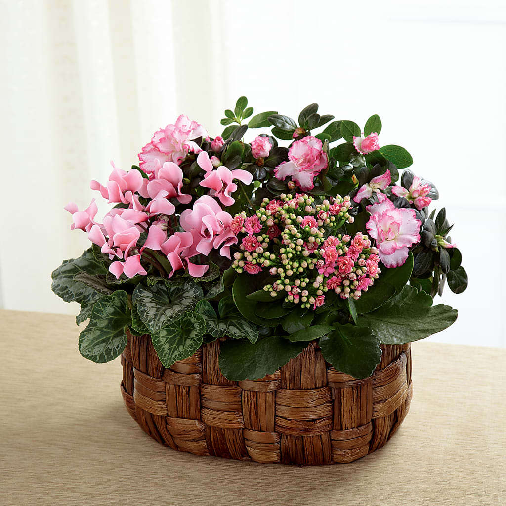 Pink Assortment – Hummelstown Flowers, Hummelstown PA
