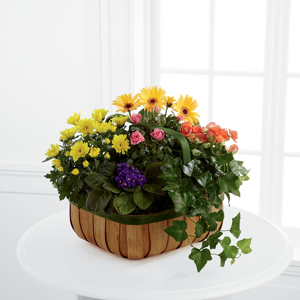 Gentle Blossoms Basket – Hummelstown Flowers, Hummelstown PA