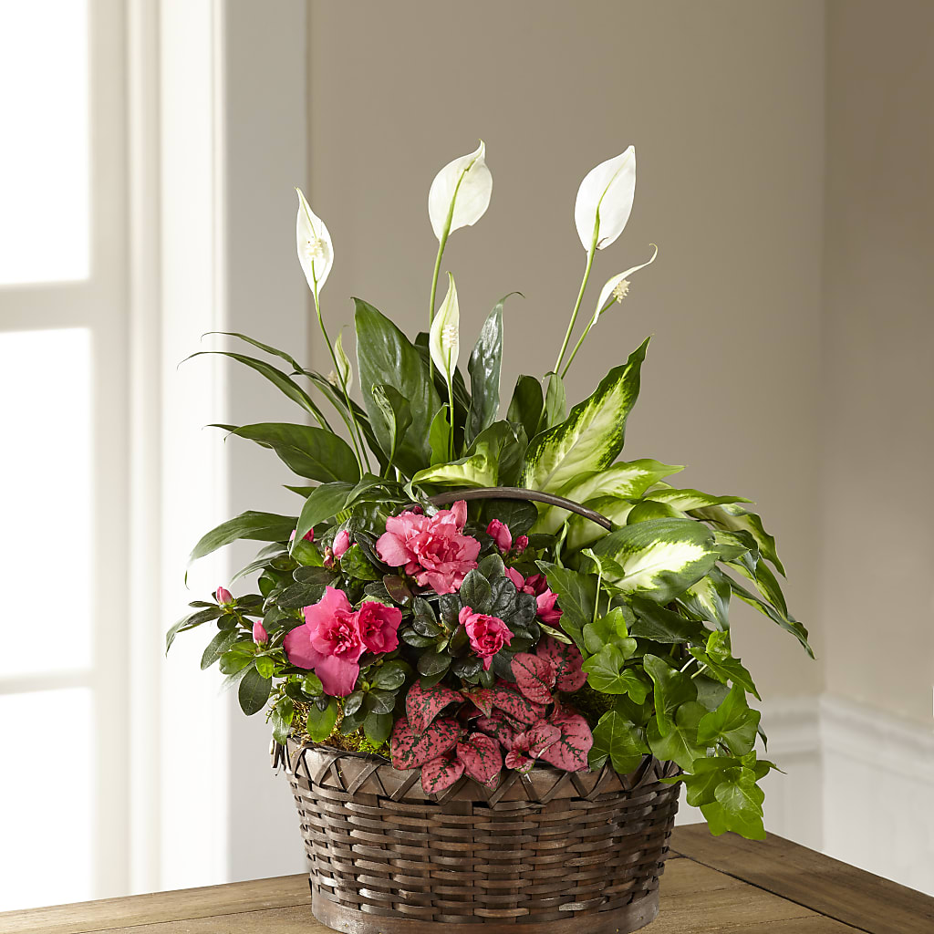 Dream in Pink Dishgarden – Hummelstown Flowers, Hummelstown PA