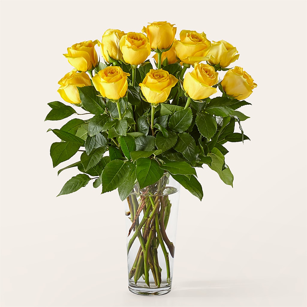 Long Stem Yellow Rose Bouquet – Hummelstown Flowers, Hummelstown PA