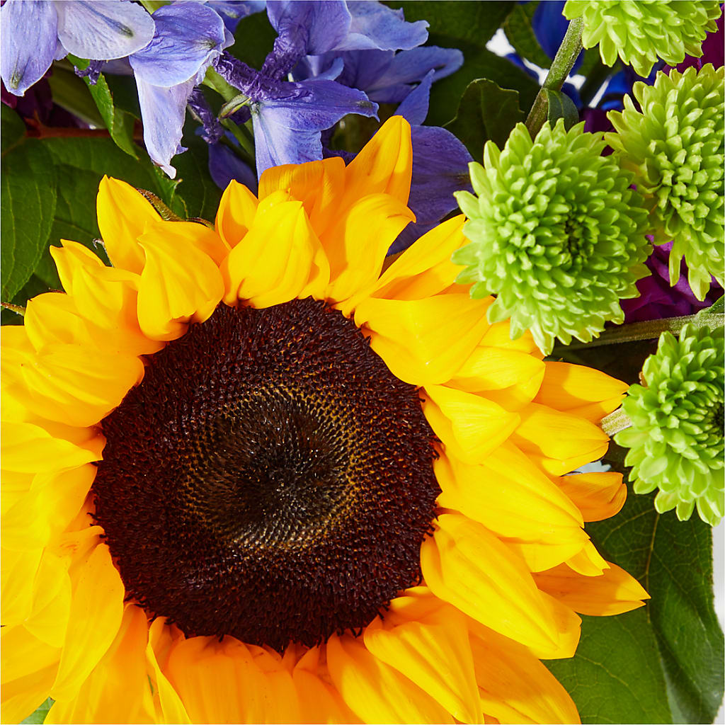 Catching Rays Bouquet – Hummelstown Flowers, Hummelstown PA