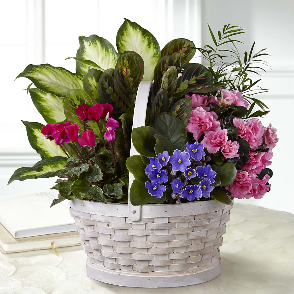 Peaceful Garden Planter – Hummelstown Flowers, Hummelstown PA