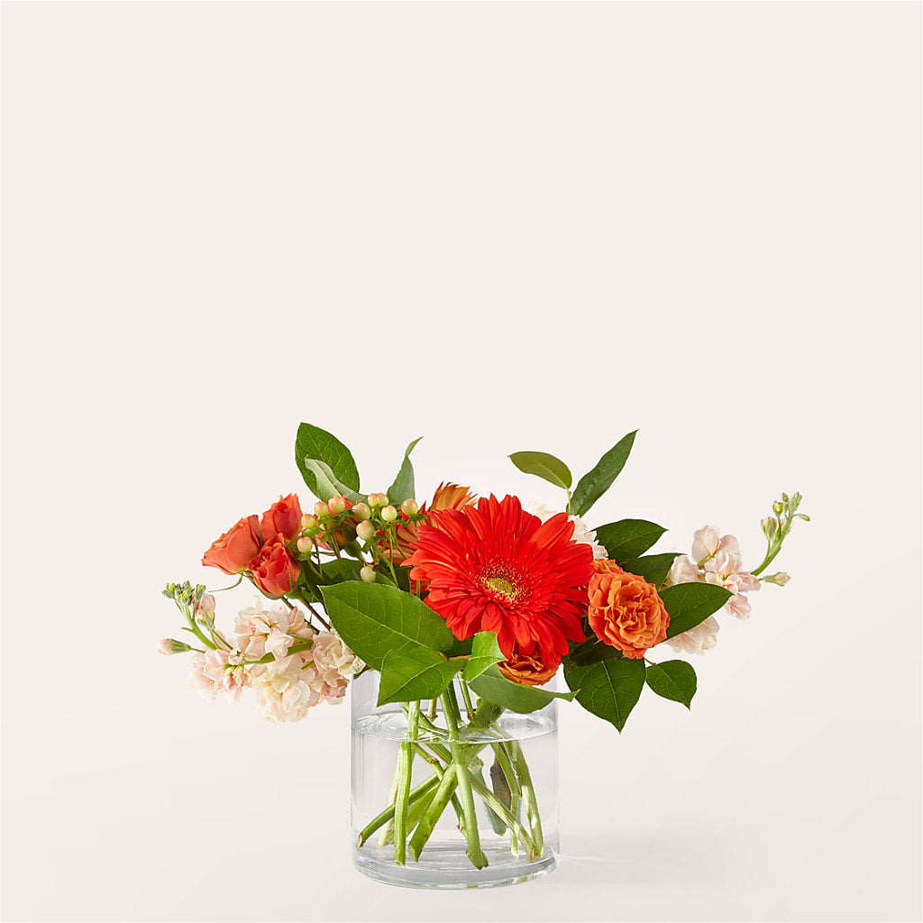 Paloma Please Bouquet – Hummelstown Flowers, Hummelstown PA