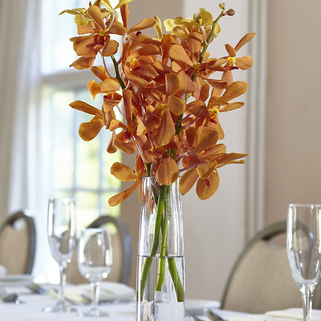 Orange Mokara Bud Vase – Hummelstown Flowers, Hummelstown PA