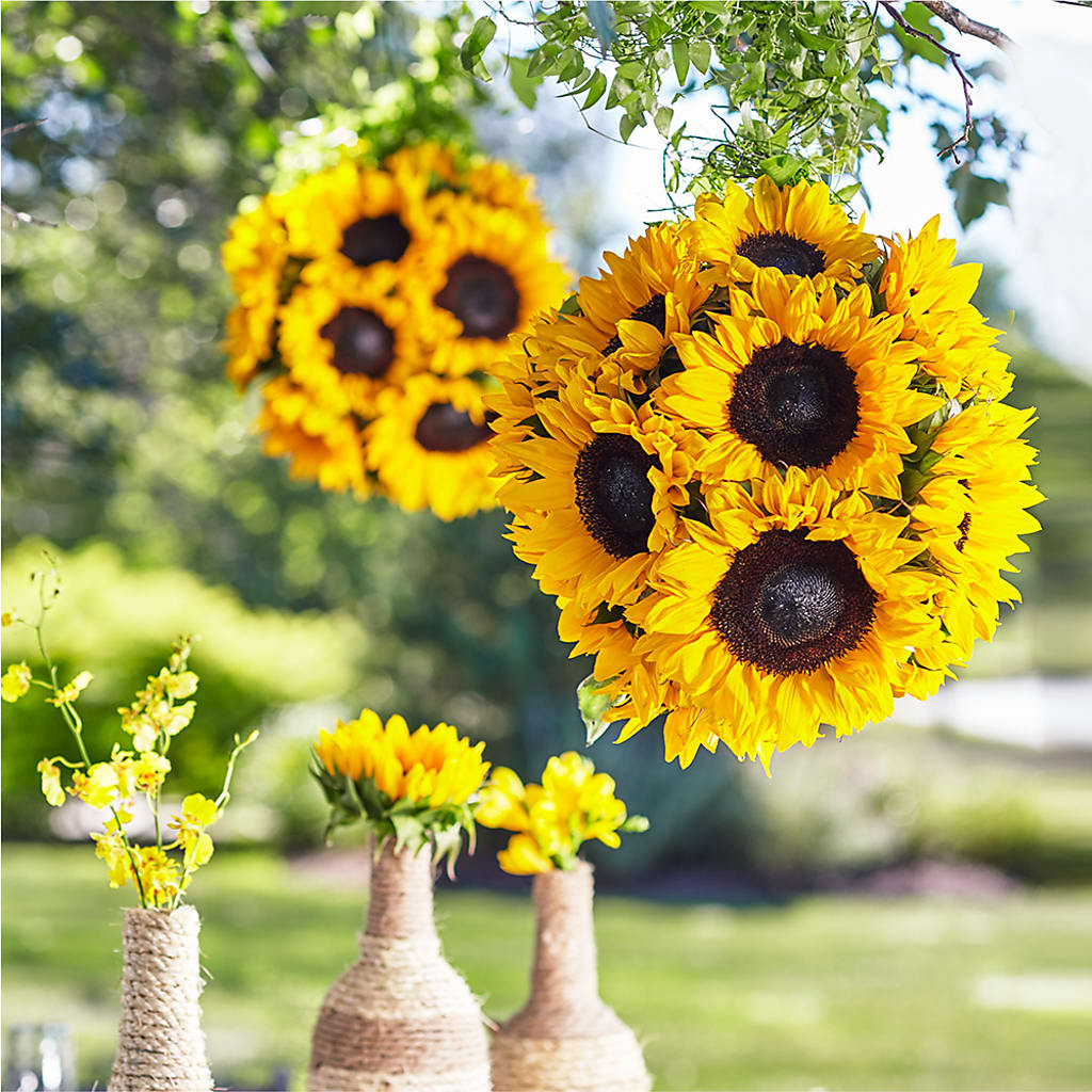 Sublime Garden Hanging Arrangement – Hummelstown Flowers, Hummelstown PA
