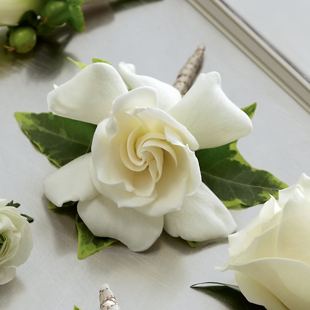 Gardenia Boutonniere – Hummelstown Flowers, Hummelstown PA