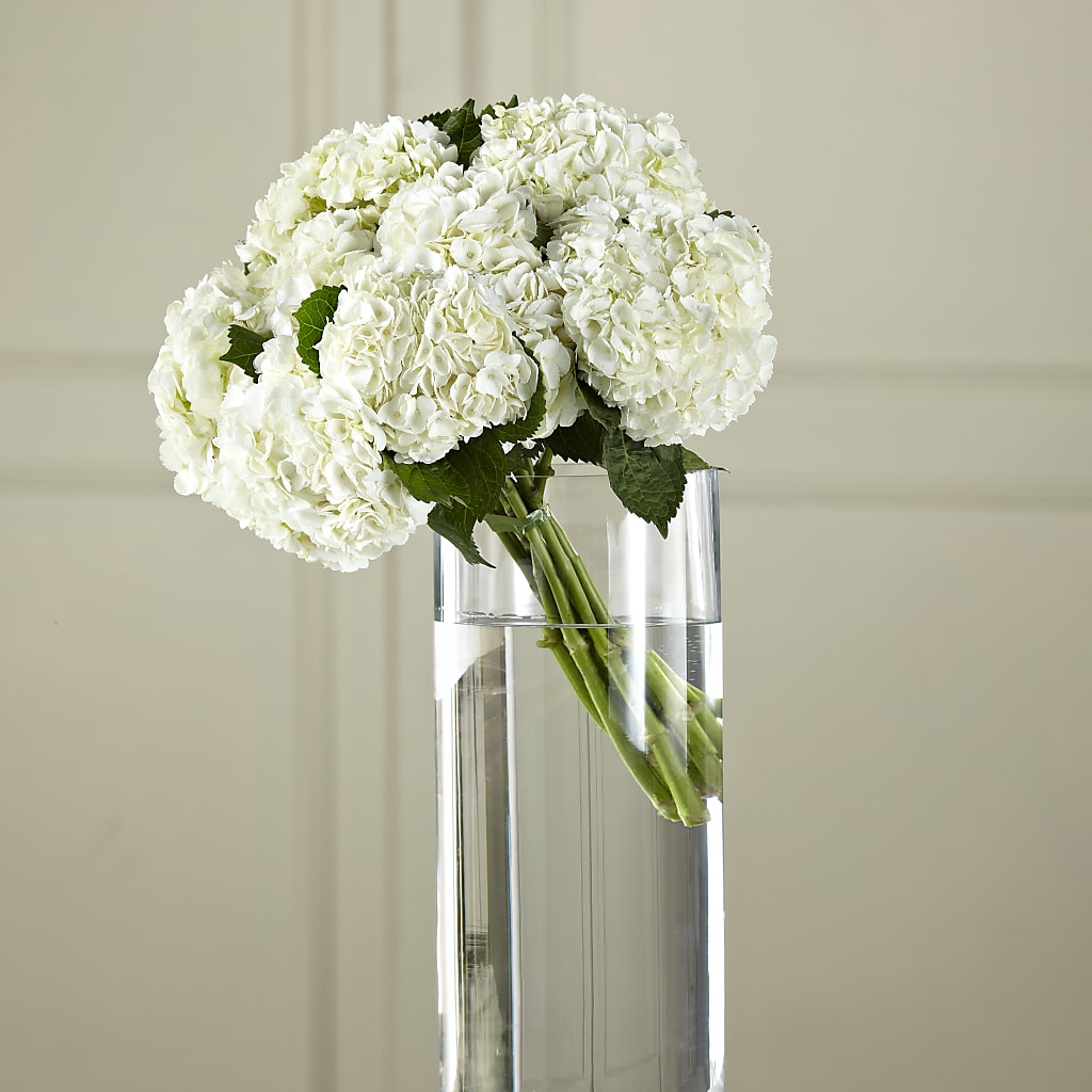 White Hydrangea Hand-Tied Bouquet – Hummelstown Flowers, Hummelstown PA
