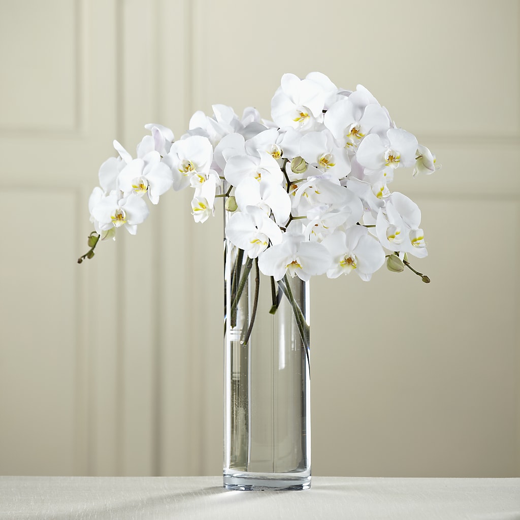 White Phalaenopsis Bouquet – Hummelstown Flowers, Hummelstown PA