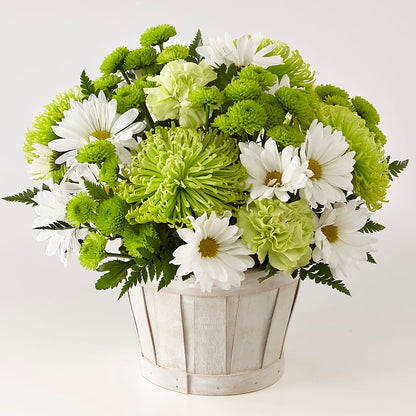Lucky Charm Basket (Standard) –  Hummelstown Flowers, Hummelstown PA