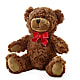 Adorable Plush Bear –  Hummelstown Flowers, Hummelstown PA