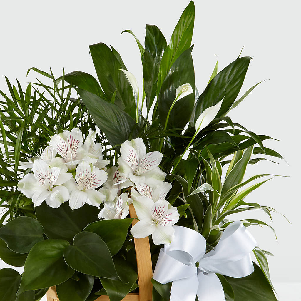 Peace & Serenity Dishgarden –  Hummelstown Flowers, Hummelstown PA