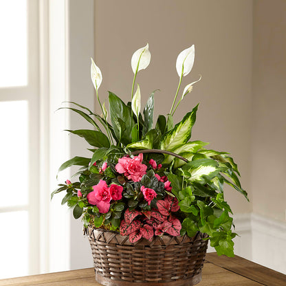 Dream in Pink Dishgarden –  Hummelstown Flowers, Hummelstown PA