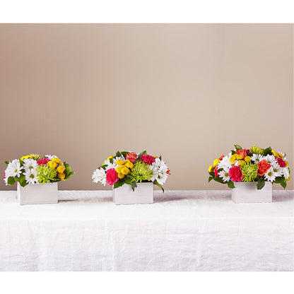 Sorbet Bouquet –  Hummelstown Flowers, Hummelstown PA