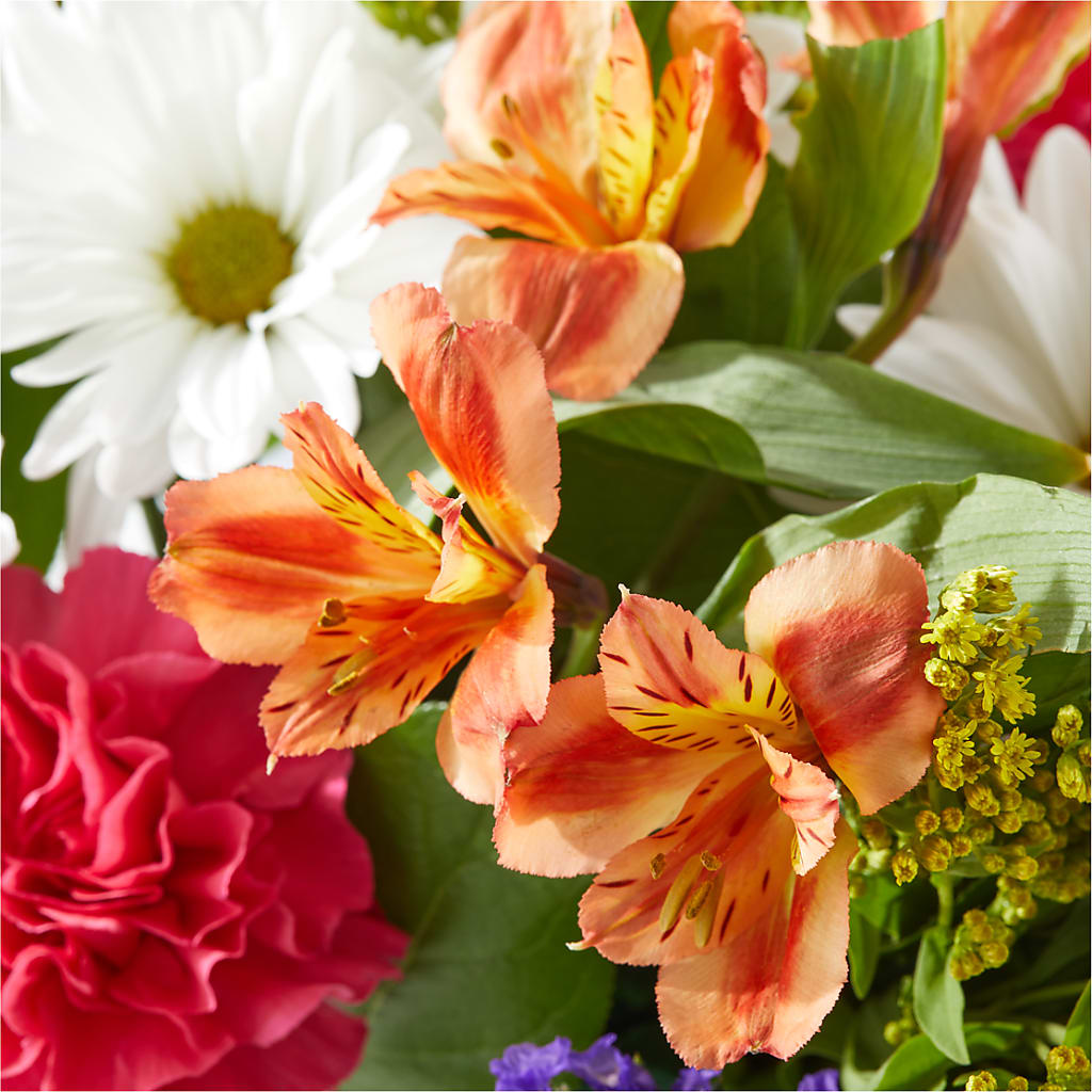 Oopsie Daisy Box Bouquet –  Hummelstown Flowers, Hummelstown PA