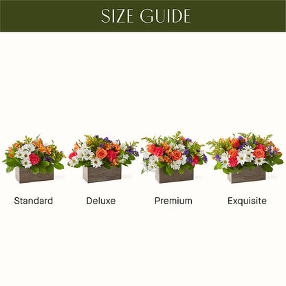 Oopsie Daisy Box Bouquet –  Hummelstown Flowers, Hummelstown PA