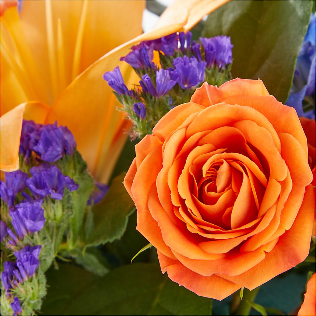 Radiant Citrus Box Bouquet –  Hummelstown Flowers, Hummelstown PA