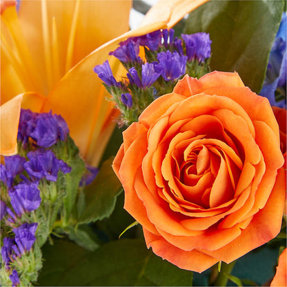 Radiant Citrus Box Bouquet –  Hummelstown Flowers, Hummelstown PA