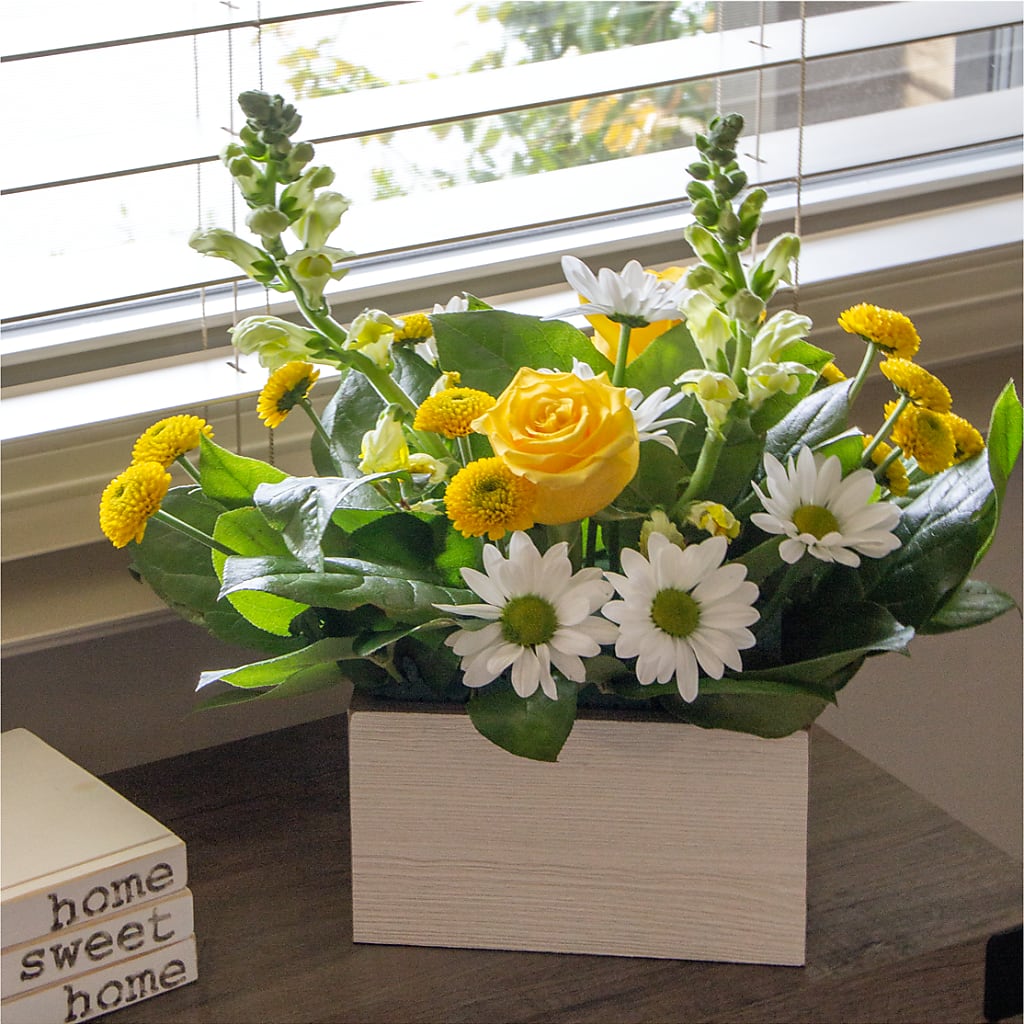 Sun Salutation Box Bouquet –  Hummelstown Flowers, Hummelstown PA
