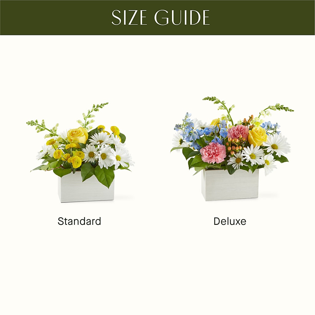 Sun Salutation Box Bouquet –  Hummelstown Flowers, Hummelstown PA