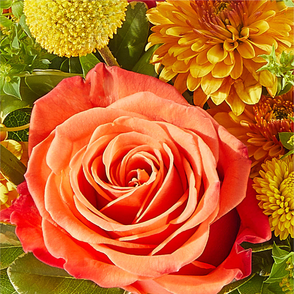 Gourdgeous Pumpkin –  Hummelstown Flowers, Hummelstown PA