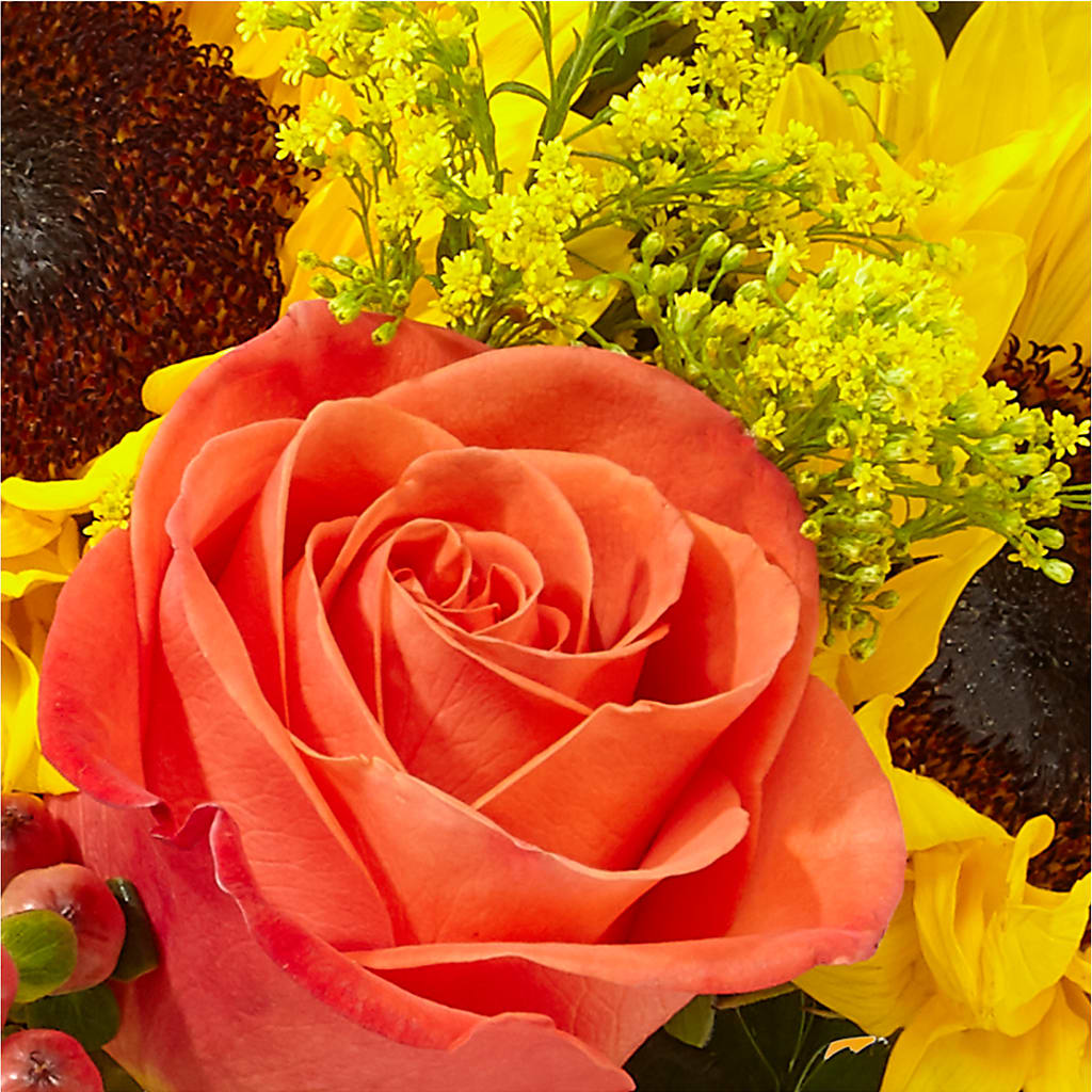 Pick of the Patch Pumpkin Bouquet –  Hummelstown Flowers, Hummelstown PA