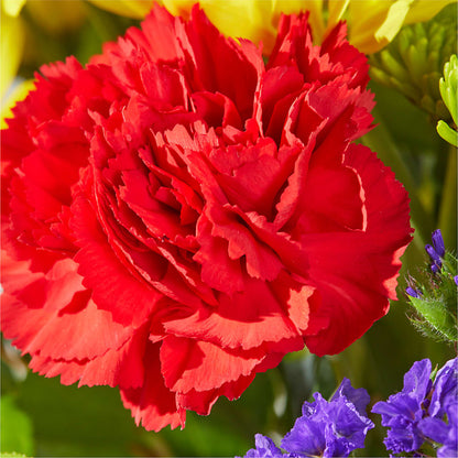 Brighter Days Bouquet –  Hummelstown Flowers, Hummelstown PA