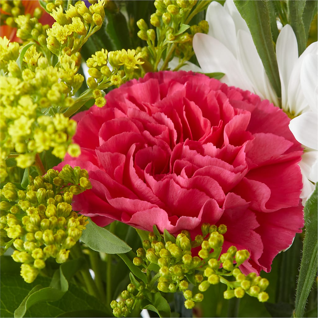 Oopsie Daisy Bouquet –  Hummelstown Flowers, Hummelstown PA