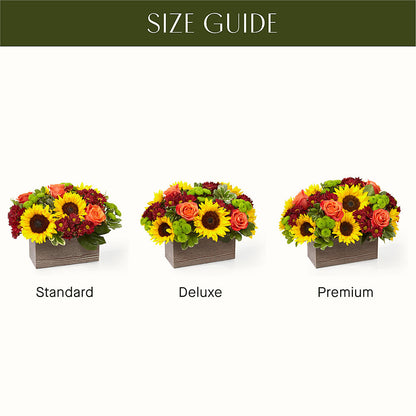 Happy Harvest Garden –  Hummelstown Flowers, Hummelstown PA