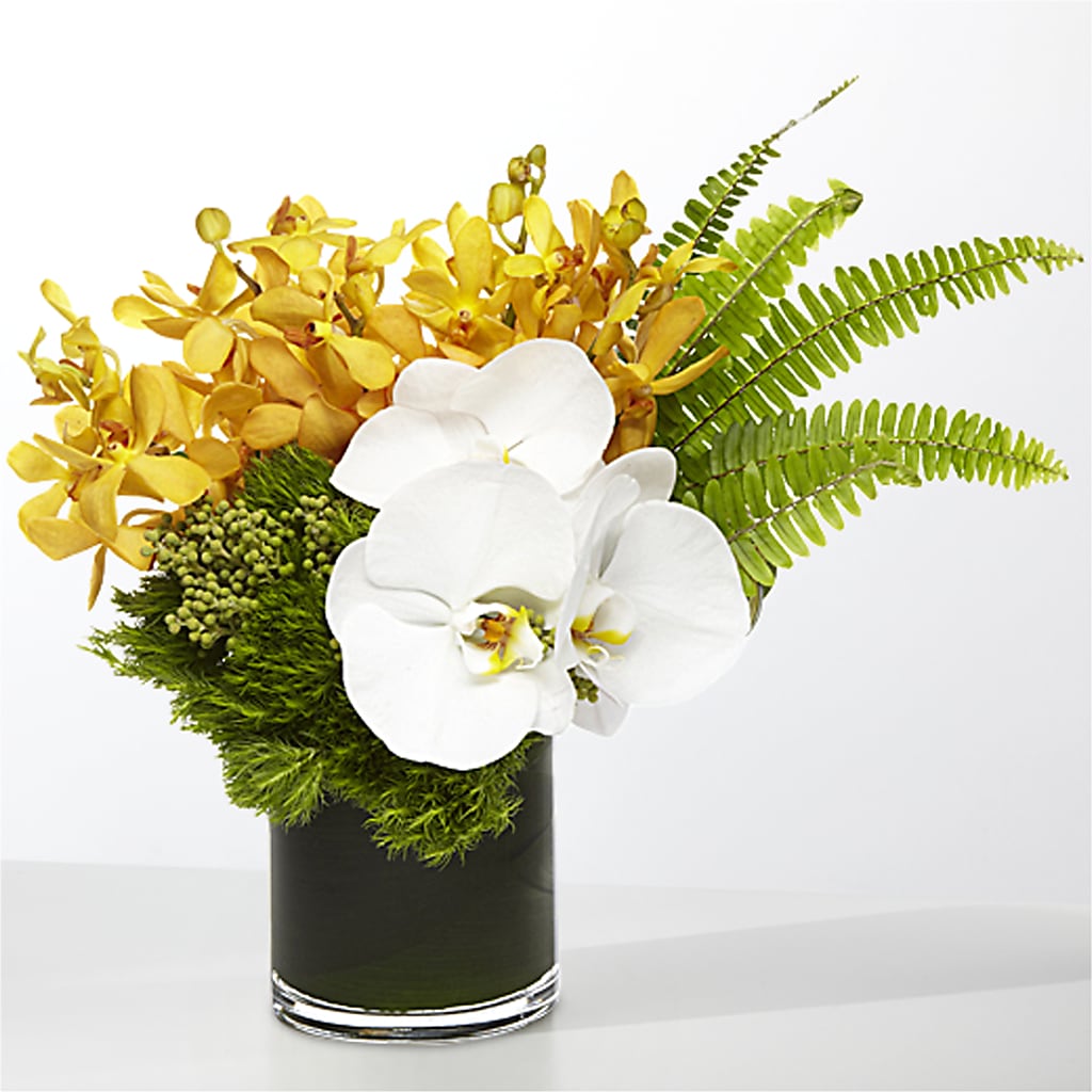 The Tropics –  Hummelstown Flowers, Hummelstown PA