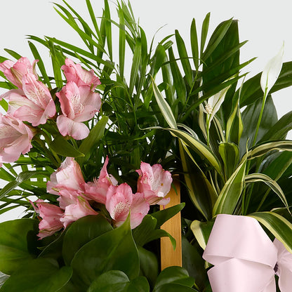 Living Spirit Dishgarden –  Hummelstown Flowers, Hummelstown PA