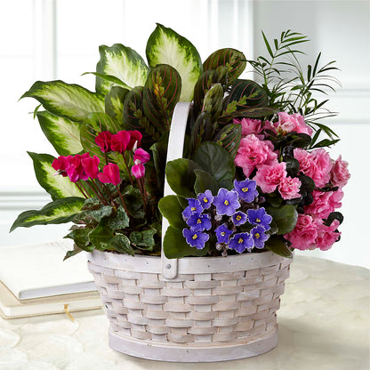 Peaceful Garden Planter –  Hummelstown Flowers, Hummelstown PA