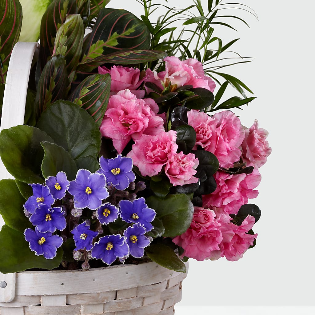 Peaceful Garden Planter –  Hummelstown Flowers, Hummelstown PA