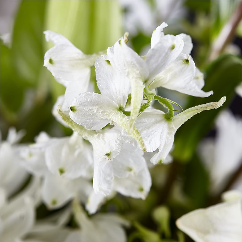 Classic Ivory – A Florist Original –  Hummelstown Flowers, Hummelstown PA