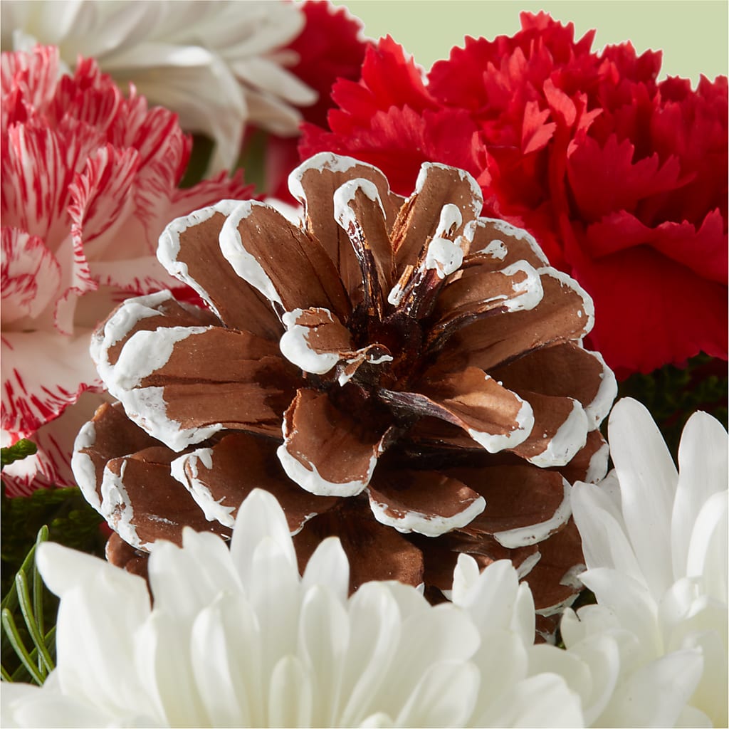 Candy Cane Lane Bouquet –  Hummelstown Flowers, Hummelstown PA