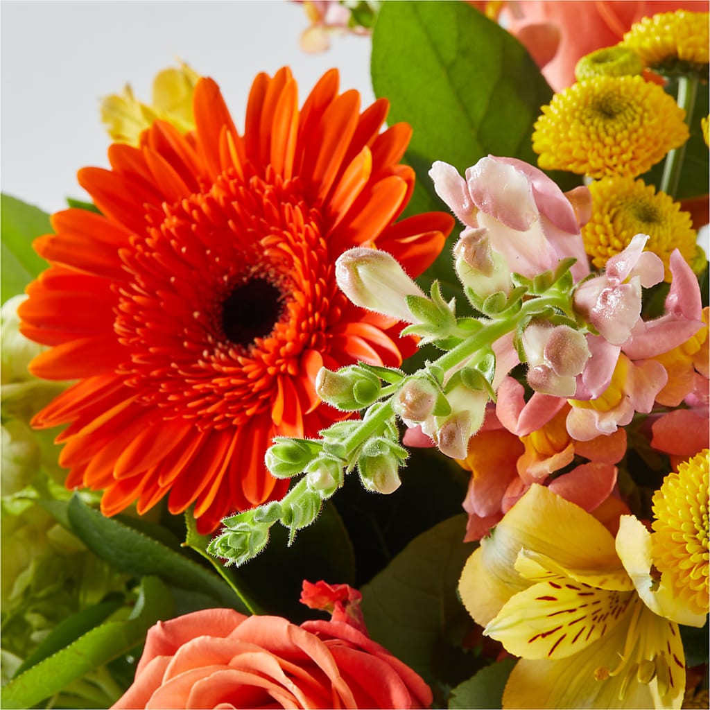 Autumn Sunshine Bouquet –  Hummelstown Flowers, Hummelstown PA