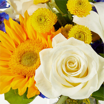 Stargazing Bouquet –  Hummelstown Flowers, Hummelstown PA