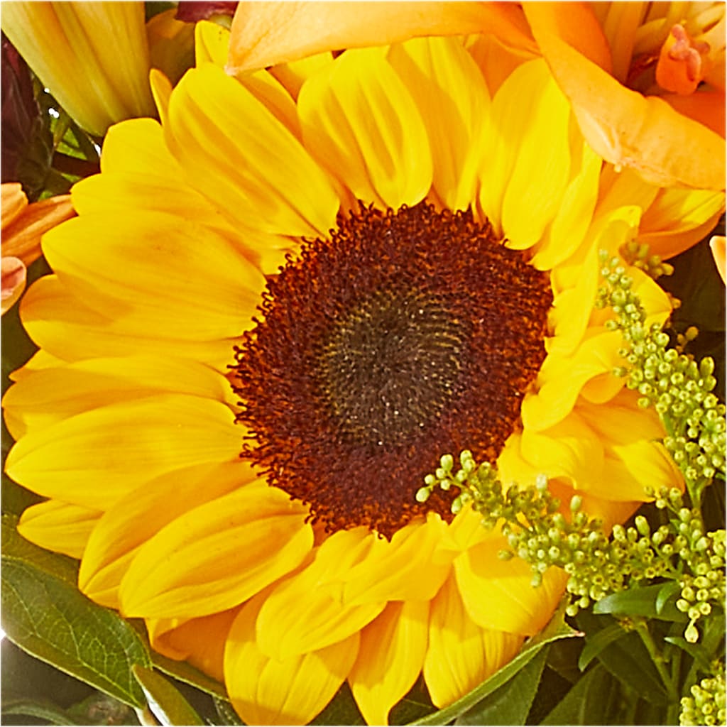 Seasons Change Bouquet –  Hummelstown Flowers, Hummelstown PA