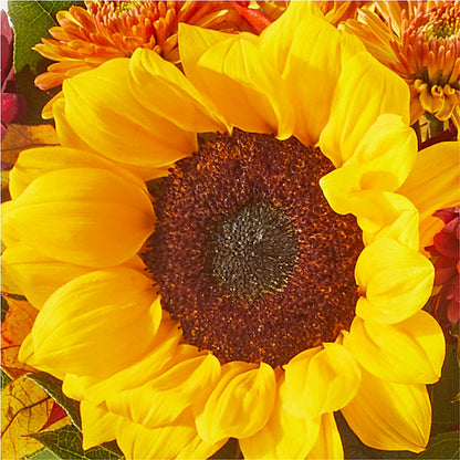 Sunny Side Bouquet –  Hummelstown Flowers, Hummelstown PA