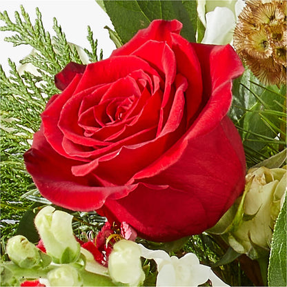 Deck the Halls Bouquet –  Hummelstown Flowers, Hummelstown PA