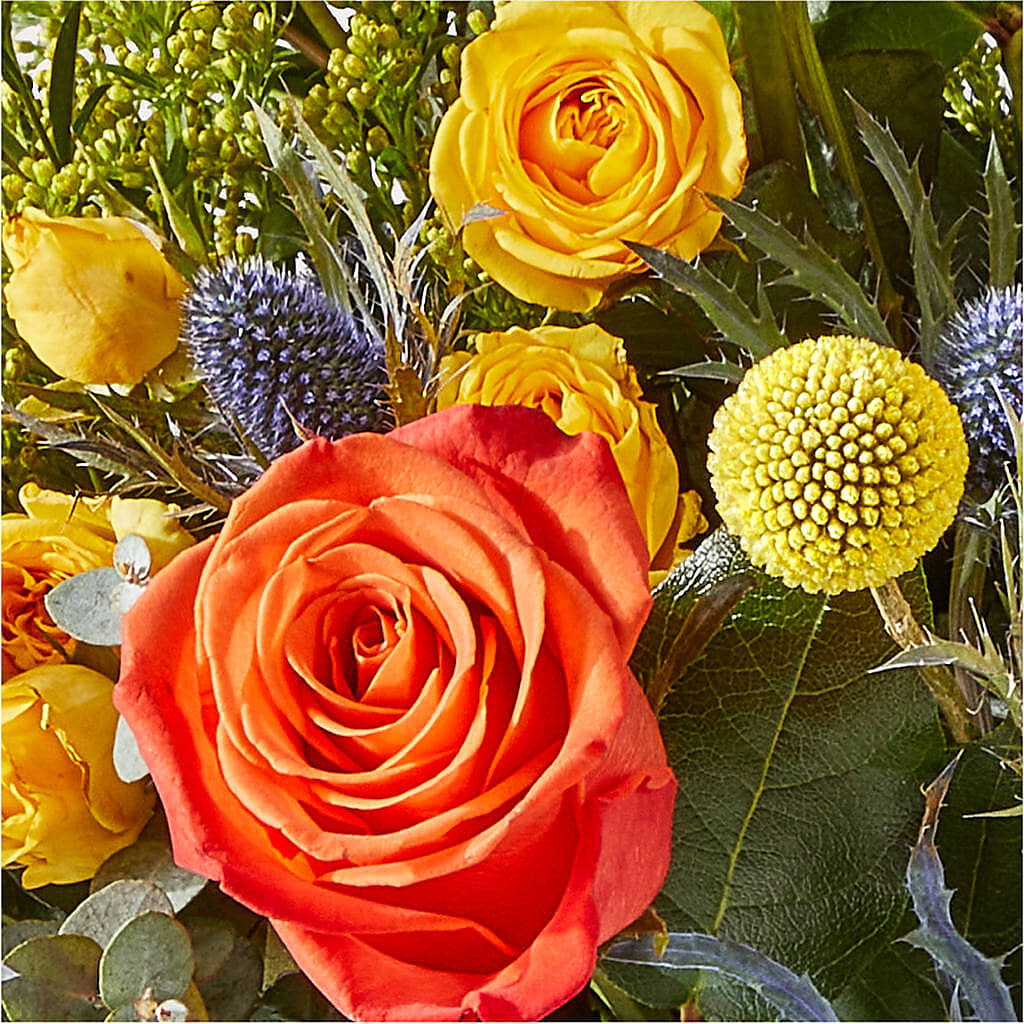 Disco Bouquet –  Hummelstown Flowers, Hummelstown PA