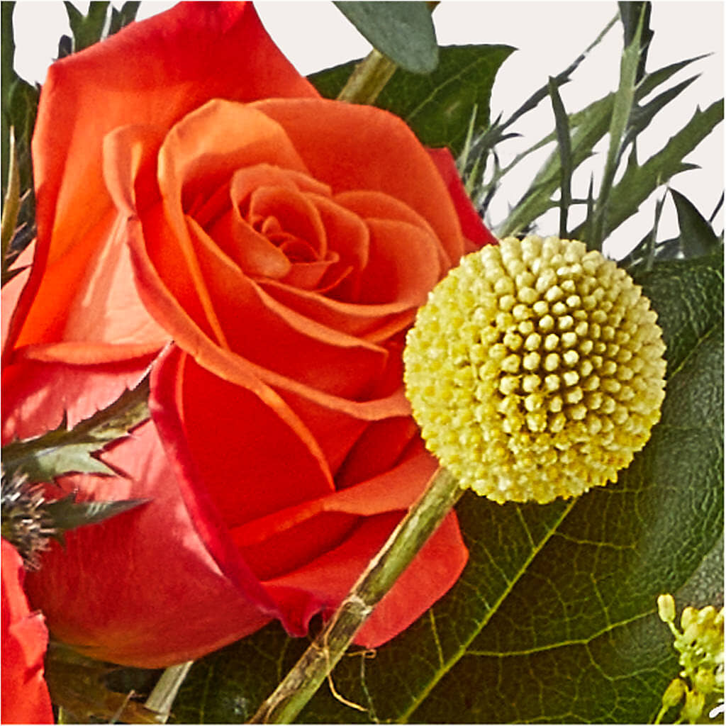Disco Bouquet –  Hummelstown Flowers, Hummelstown PA