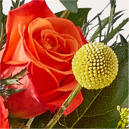 Disco Bouquet –  Hummelstown Flowers, Hummelstown PA