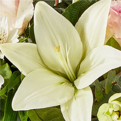 Ballet Slippers Bouquet –  Hummelstown Flowers, Hummelstown PA