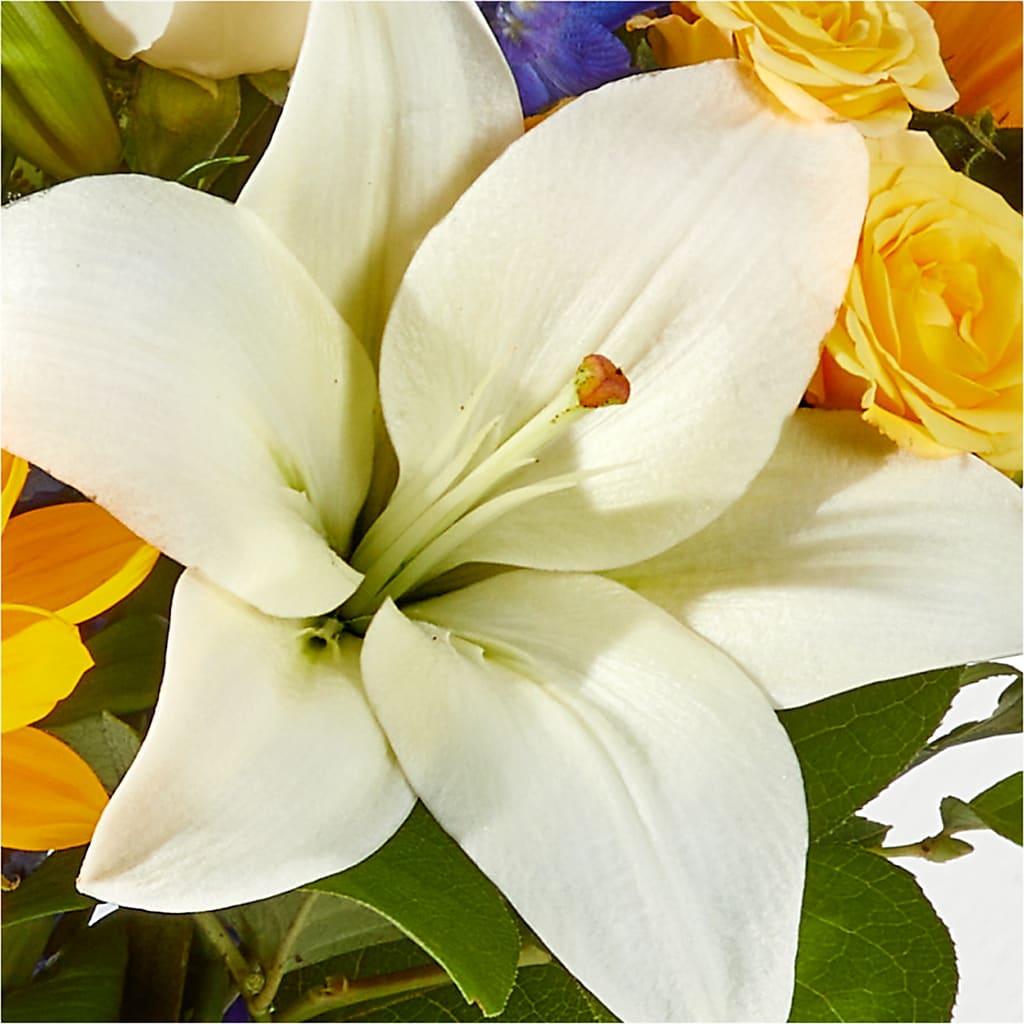 Wonderfully Sunny Bouquet –  Hummelstown Flowers, Hummelstown PA