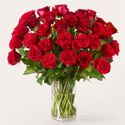 The One Red Rose Bouquet –  Hummelstown Flowers, Hummelstown PA