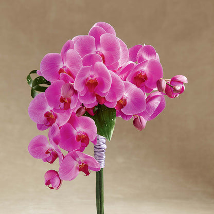 Glorious Bouquet –  Hummelstown Flowers, Hummelstown PA