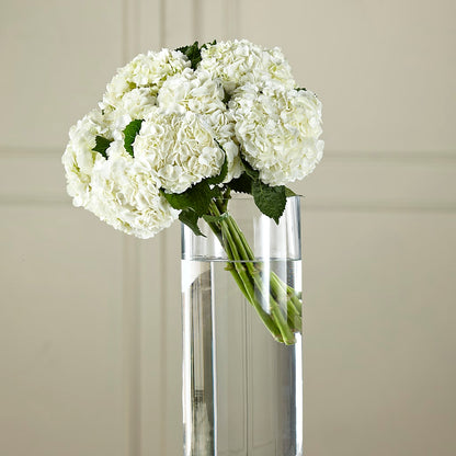 White Hydrangea Hand-Tied Bouquet –  Hummelstown Flowers, Hummelstown PA